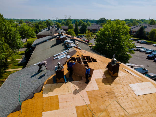 Best Roof Repair Specialists  in Montrose, VA