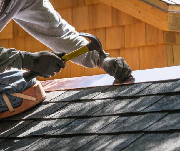 Best Roof Gutter Cleaning  in Montrose, VA